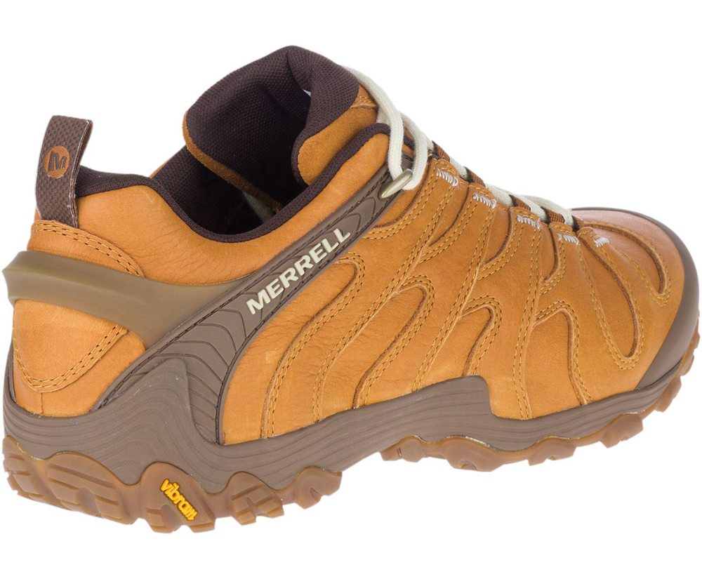 Buty Sportowe Merrell Męskie Brązowe - Cham 7 Slam Luna Skórzane - 249765-CTZ